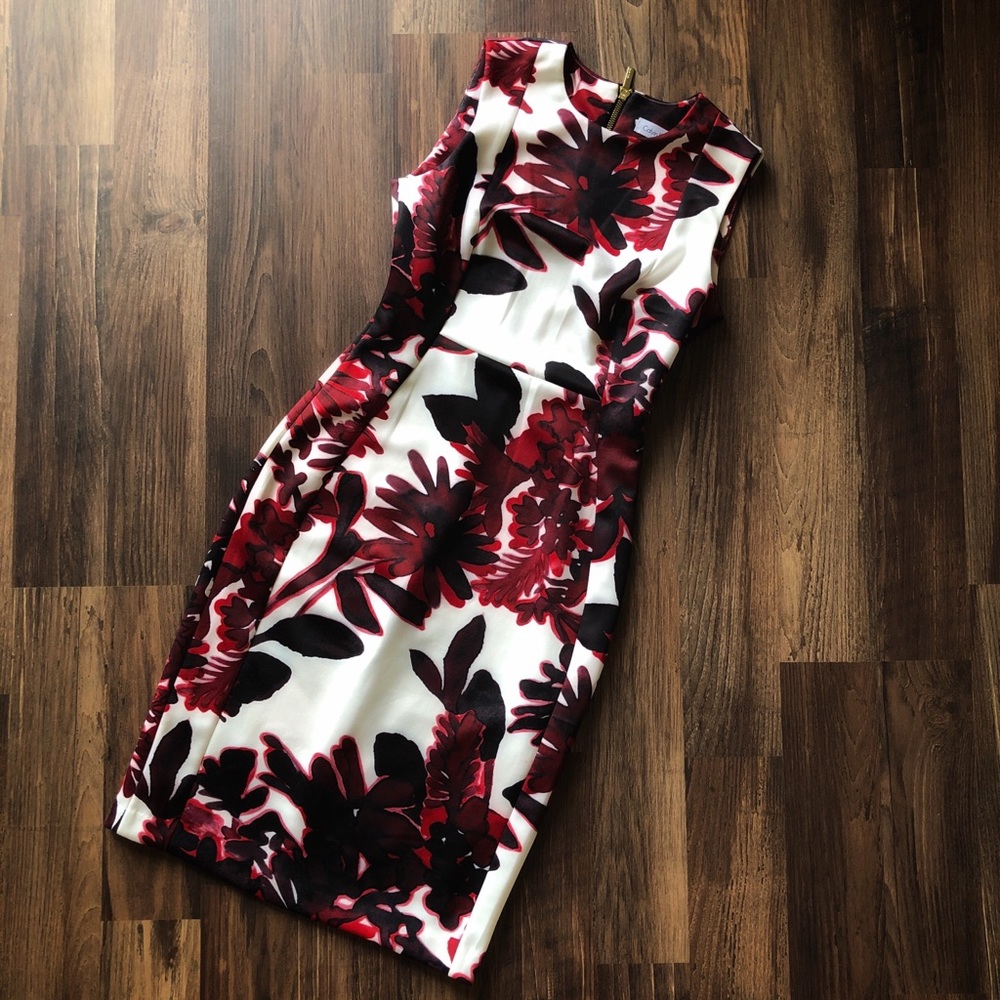 Calvin Klein White & Red Wine Floral Fitted Dress